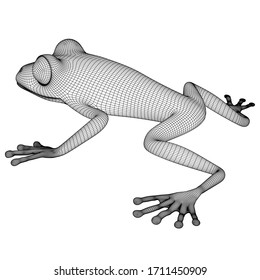 Frog polygonal lines illustration. Abstract vector frog on the white background