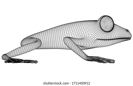 Frog polygonal lines illustration. Abstract vector frog on the white background