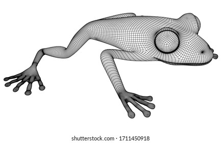 Frog polygonal lines illustration. Abstract vector frog on the white background