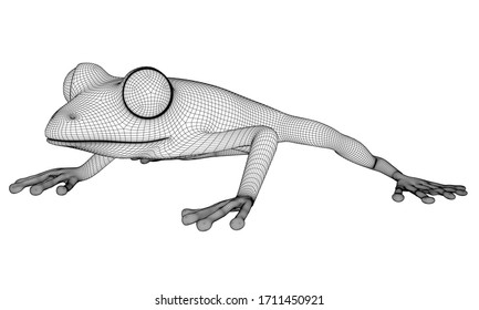 Frog polygonal lines illustration. Abstract vector frog on the white background