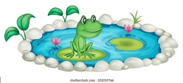 Frog in a pond illustration