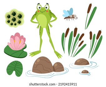 Frog pond toad animal life nature isolated set collection. Vector isolated graphic design illustration