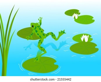Frog pond. Vector. For jpeg version please see my portfolio