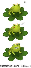 Frog Prince Eating Fly, 1-Watching Fly 2-Licking Lips 3-Happy Frog