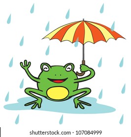 frog in rain