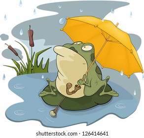 Frog and a rain cartoon