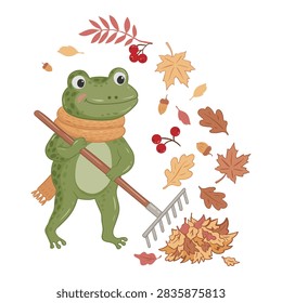 Frog raking autumn leaves with rake. Vector flat illustration of a little frog in scarf by autumn leaves, berries, and acorns. Cozy character in autumn vibe for pillow, T-shirt, notebook and sticker.