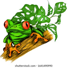 frog red eyed green tropical with palm leaves vector illustration print cartoon funny