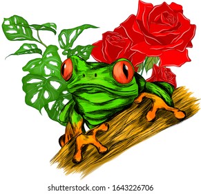 frog red eyed green tropical with palm leaves and roses flower vector illustration print cartoon funny
