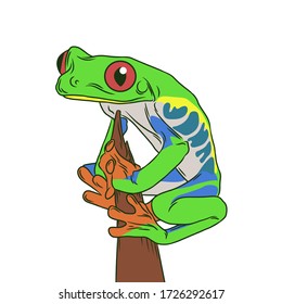 Frog Red-eye tree isolated on a white background vector illustration