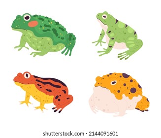 Frog set. Tropical colorful animals. Different fauna characters of wildlife or nature. Exotic green, yellow and orange amphibian types. Cartoon sitting creatures isolated vector collection