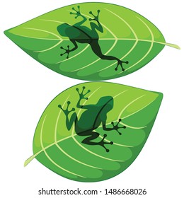 Frog shapes on Green Leaves Vector illustrations isolated on white
