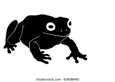 Frog silhouette