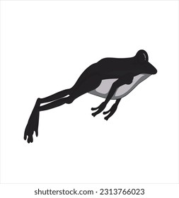 Froschsilhouette. Abstrakter Frosch auf weißem Hintergrund