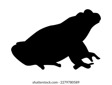 frog silhouette. animal concept, amphibians. vector illustration.