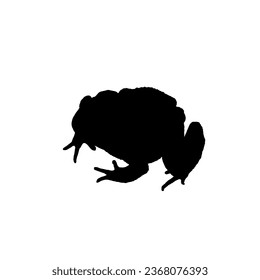 Frog Silhouette, can use for Logo Gram, Art Illustration, Pictogram, Website or Graphic Design Element. Vector Illustration