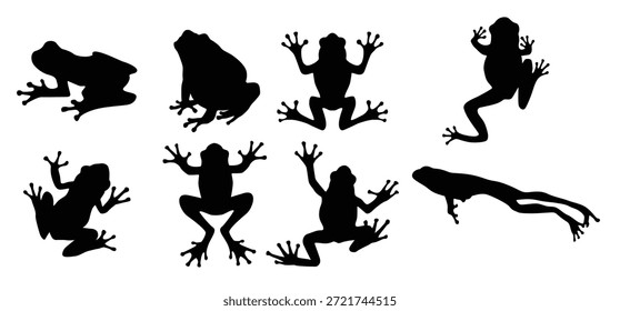 silhueta sapo coleção conjunto ilustração vetorial