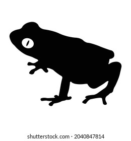 Frog Silhouette on isolated background. Vector drawing