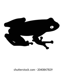 Frog Silhouette on isolated background. Vector drawing
