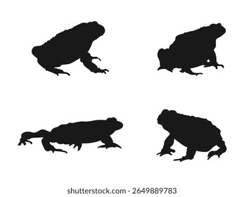 conjunto de silhuetas de rã isolado. Vista superior toad silhueta vetor plano projeto de ilustração. Silhuetas de sapo contra um fundo branco.