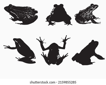 Frog Silhouette. set vector Animals Icons. Stock image and royalty for free EPS