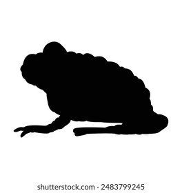 frog silhouette vector design. black and white.