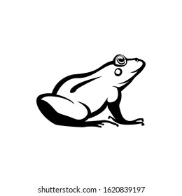 frog silhouette. vector illustration of frog