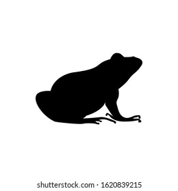 frog silhouette. vector illustration of frog