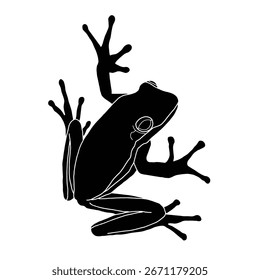 Frog silhouette vector illustration on white background