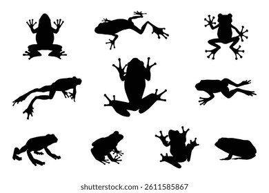 Frog silhouette vector on white background