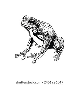 Frog Silhouette vector stock  illustration. 