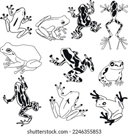 Frog silhouettes icon, tropical frog, SVG Vector