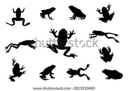 Frog silhouettes on white background