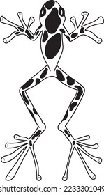 Frog silhouettes vector image black