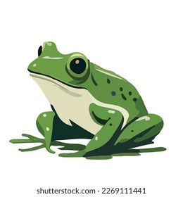 Frog. Simple vector graphics consisting of few colors. Flat vector design. A cute little green frog.