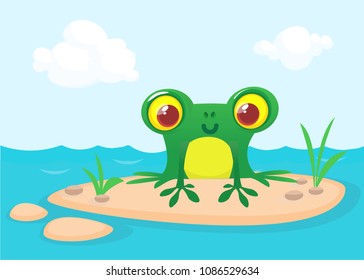 The frog sits on a large rock. Cute vector illustration of a cartoon style.