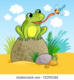 The frog sits on a large rock and catches a dragonfly. Cute vector illustration of a cartoon style.
