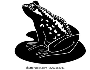 Frog Sits On Lotus Leaf - Vector Silhouette Picture For Logo Or Pictogram. Toad, Amphibious Animal - Sign Or Icon