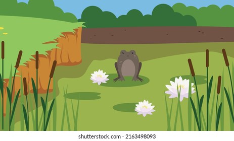 A frog sits on a water lily in a swamp
