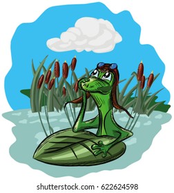 A frog sits in a swamp and dreams, looking at the sky