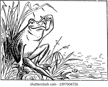 Frog Sitting on Bank and Scratching Head this scene shows a frog sitting on the bank of a pond and scratching his head vintage line drawing or engraving illustration