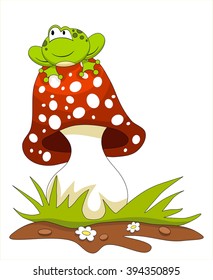Frog sitting on a mushroom. Isolated on white