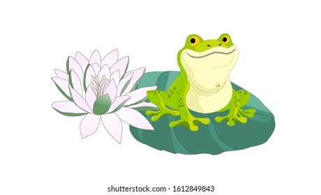 Frog sitting on Water lily leaf isolated illustration
