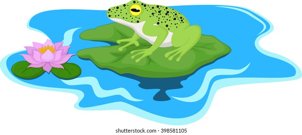 Frog sitting on Water lily leaf