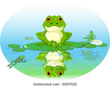 Frog sitting on Water lily leaf