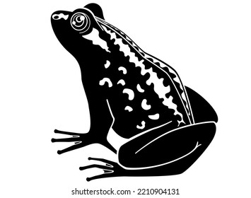 Frog Sitting, Toad - Vector Silhouette Picture For Logo Or Pictogram. Toad, Amphibious Animal - Sign Or Icon