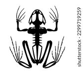 Frog skeleton silhouette. Animals anatomy.