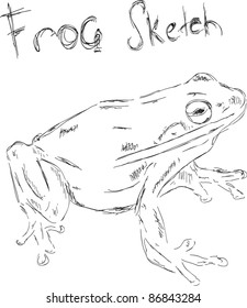 Frog sketch vector illustration