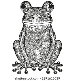 frog sketchy  graphic portrait frog white background  toad
