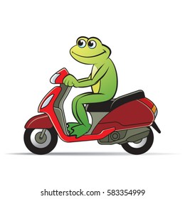 frog with smile riding scooter in color-vector drawing